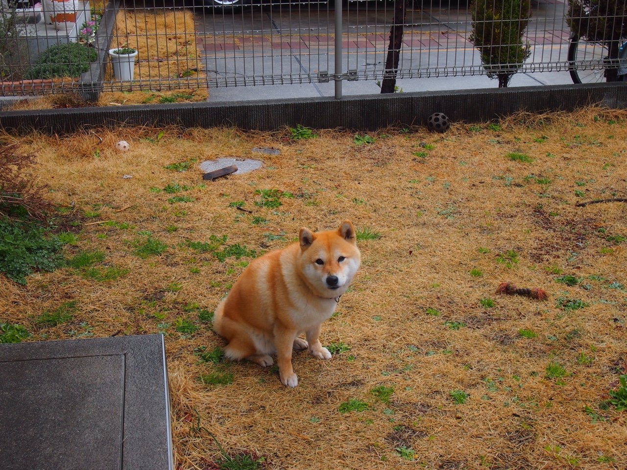 罗德里救赎之战，秘鲁逆境突围罗马关键赛