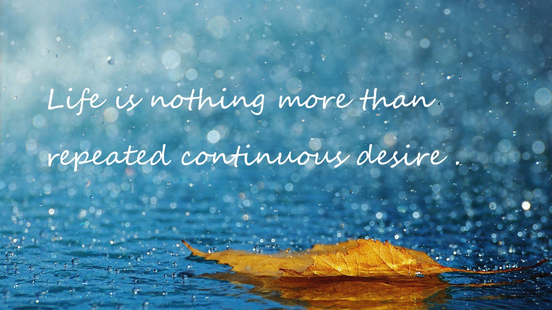 彩虹横跨欧非大陆，加克波惊艳伊斯坦布尔的足球艺术展