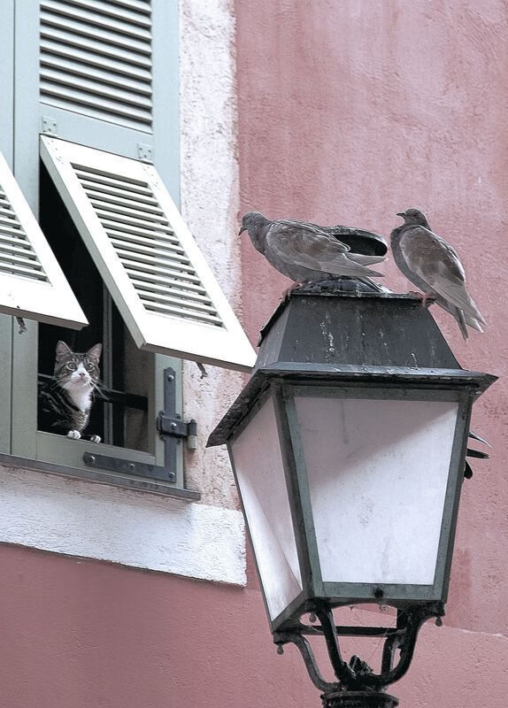 铁壁与尖刀,当热火的集体铁血,遇上贝恩那颗不顾一切的子弹