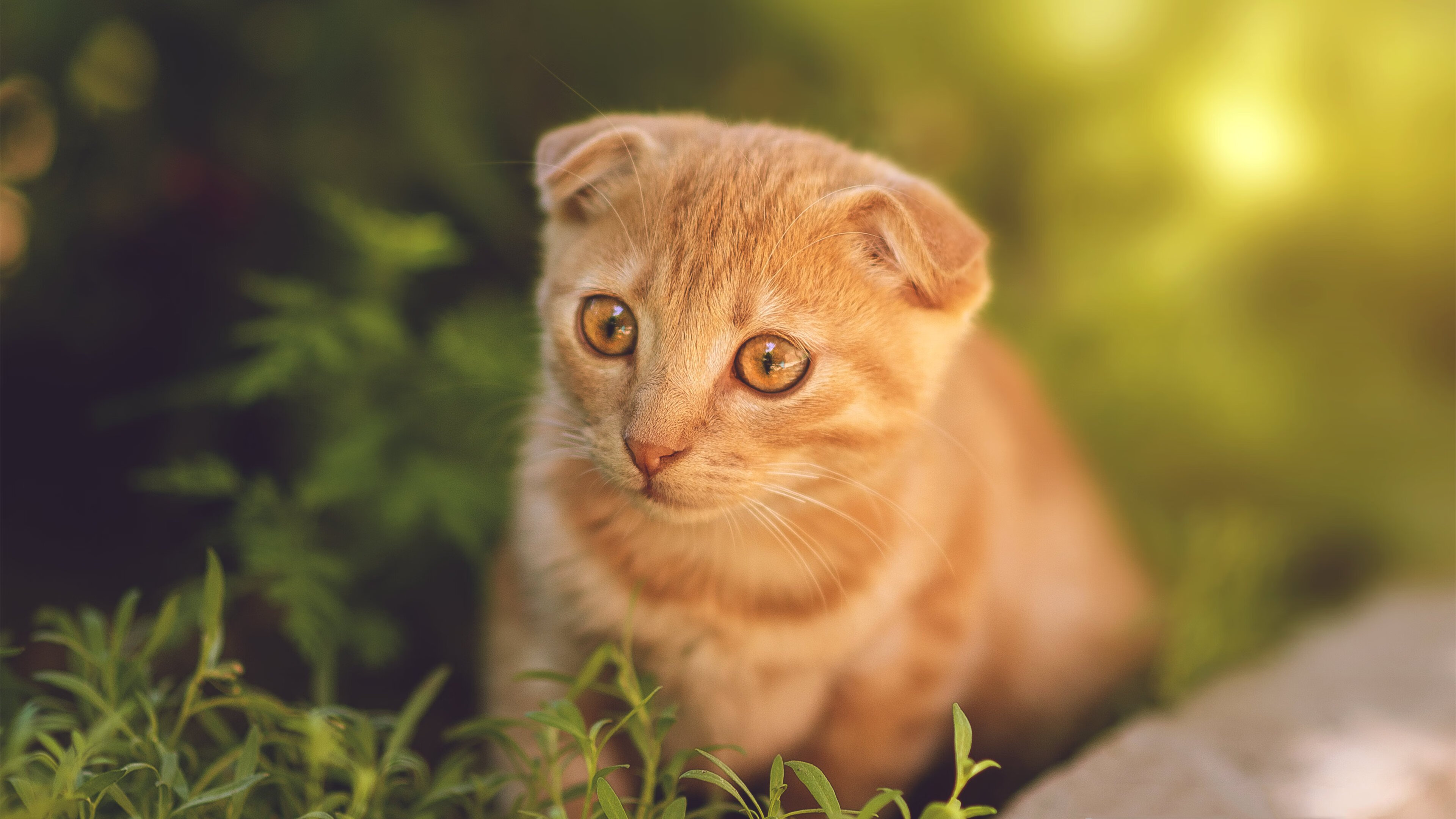 风暴眼，欧冠决赛夜，哈兰德如何肢解钢铁防线的伟大叙事
