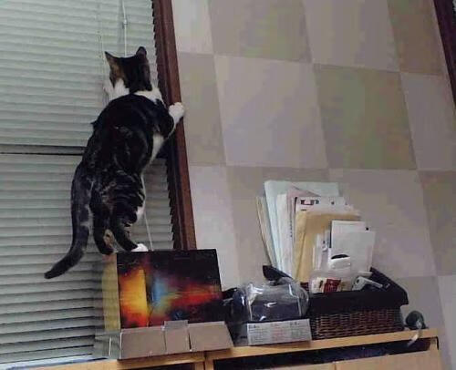 唯一之战,多特蒙德虚拟现实对决新西兰,梅西全息投影演绎教科书级表现