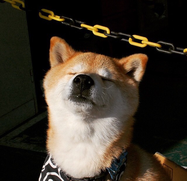 唯一之战,多特蒙德虚拟现实对决新西兰,梅西全息投影演绎教科书级表现