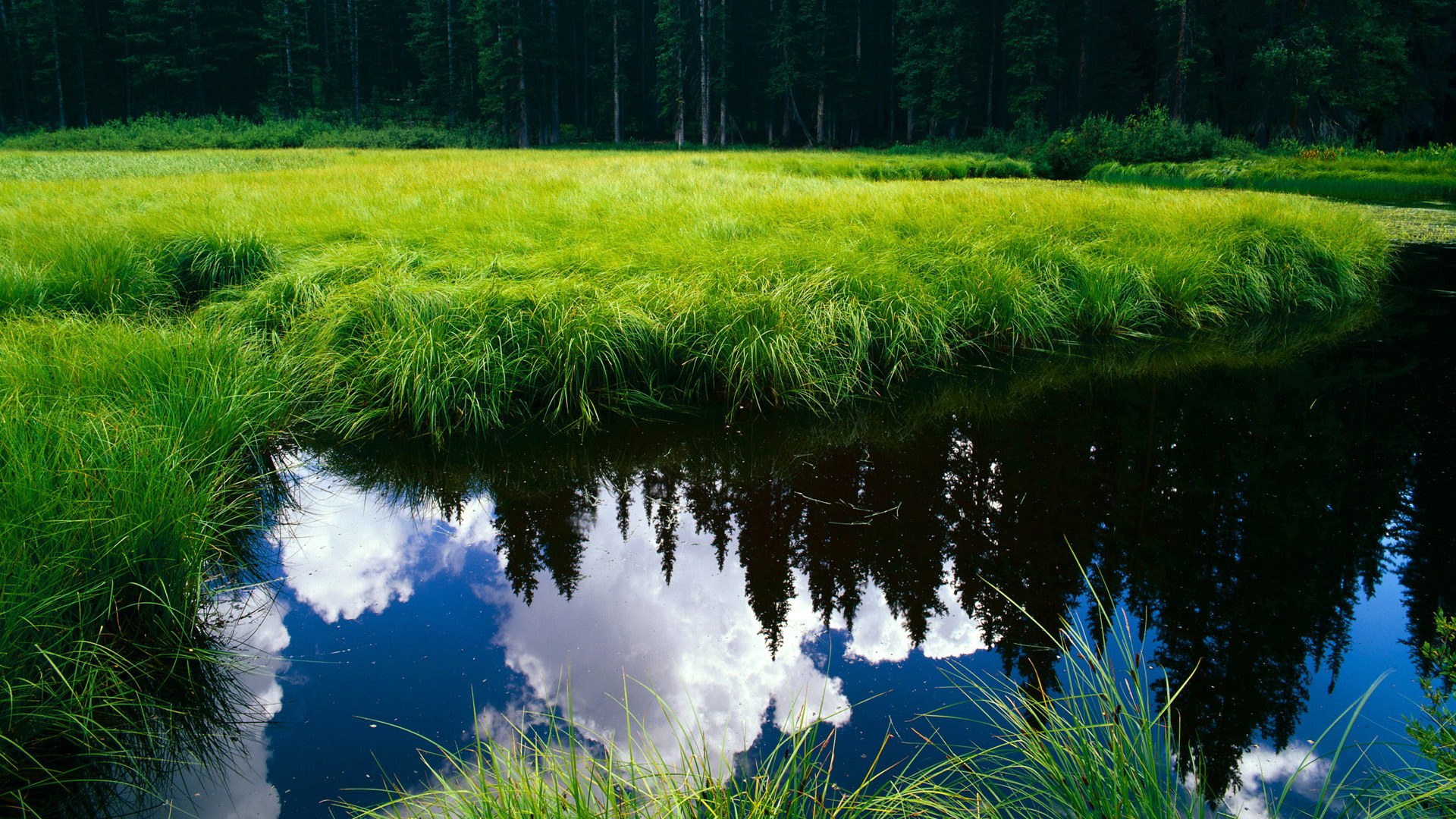 冰火双重奏,东契奇绝境封神,篮网怒涛重现窒息防守美学