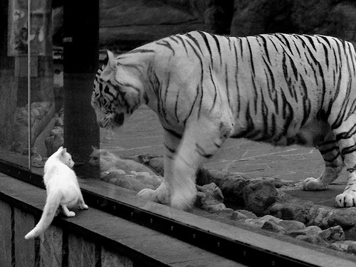 双重奇迹夜，芬兰的史诗绝杀与金玟哉的生涯定义之战