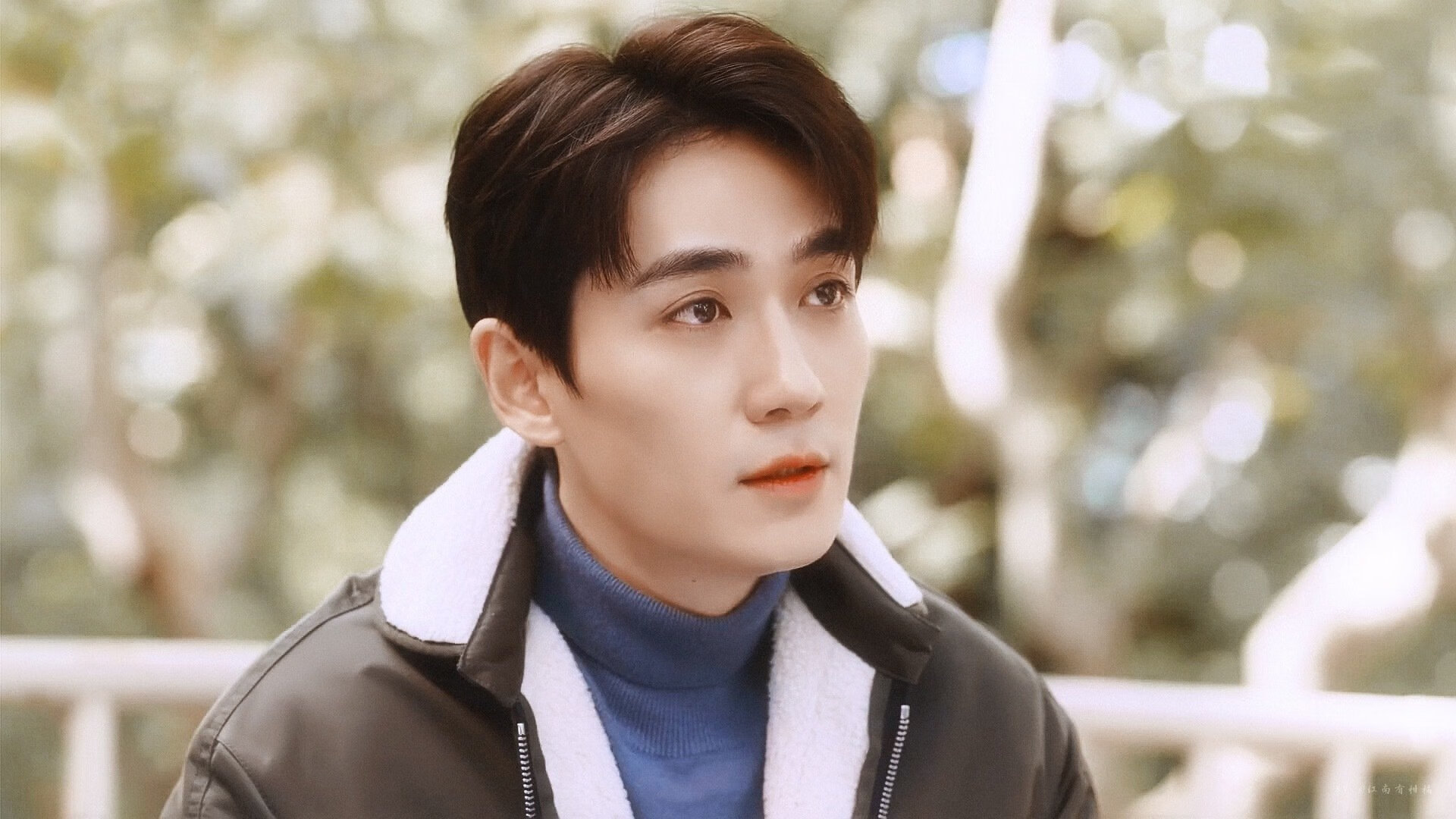 绿茵与赛道间的无序之美,当莱比锡红牛冲破秩序,迪马利亚在F1雨幕中重写剧本