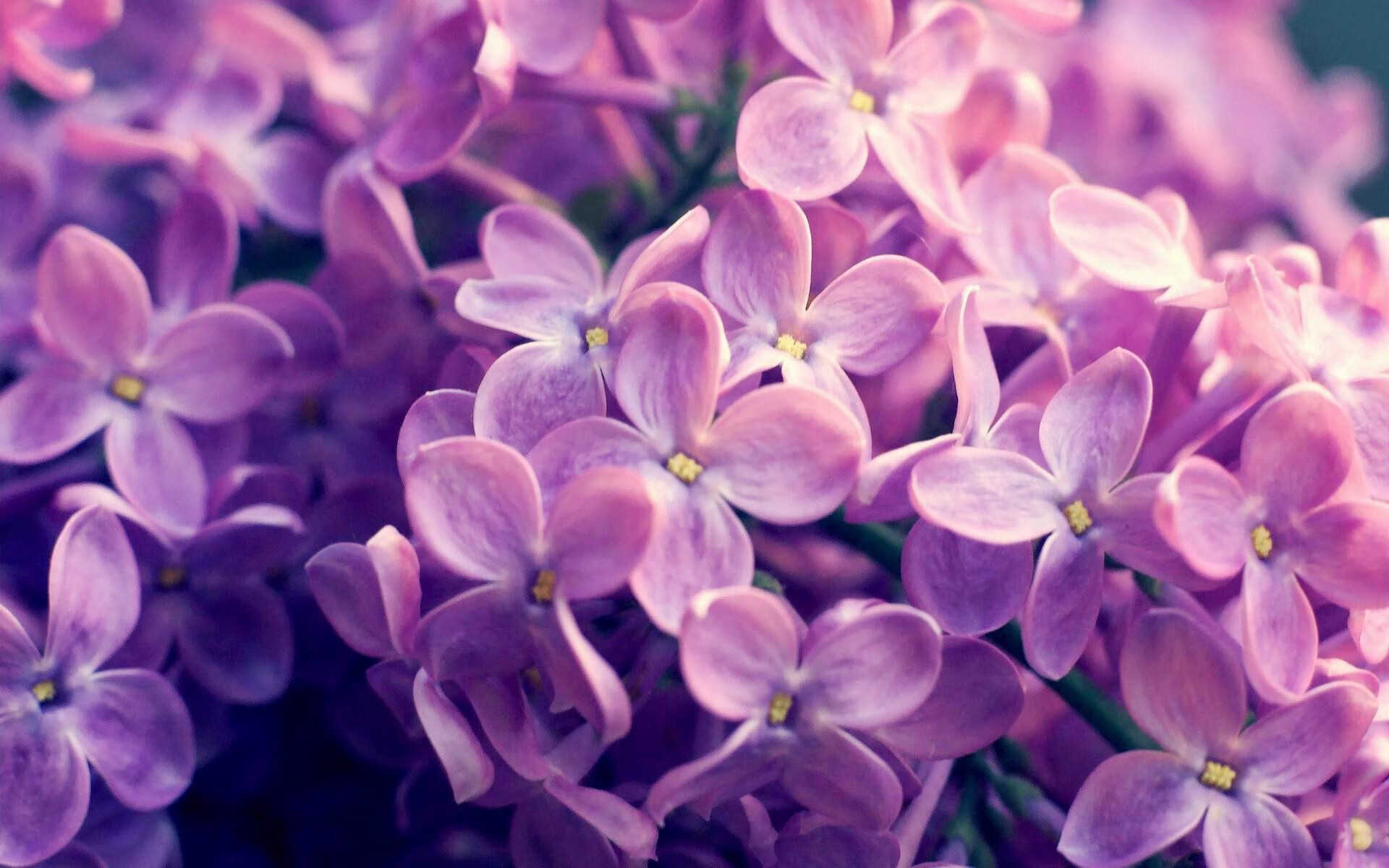 绿茵场上的三分雨,当德甲争冠战之夜遇上库里的教科书时刻