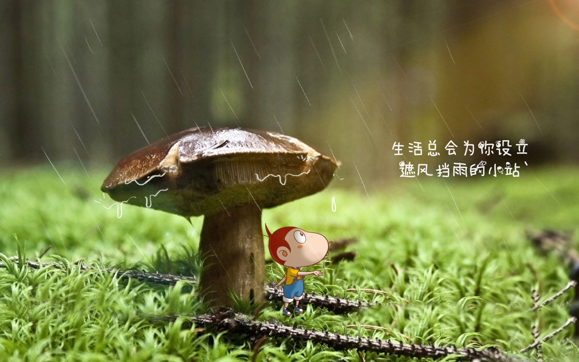 北欧无间道,当童话遇上海盗,神的剧本只写了唯一主角—2026世界杯B组传奇夜