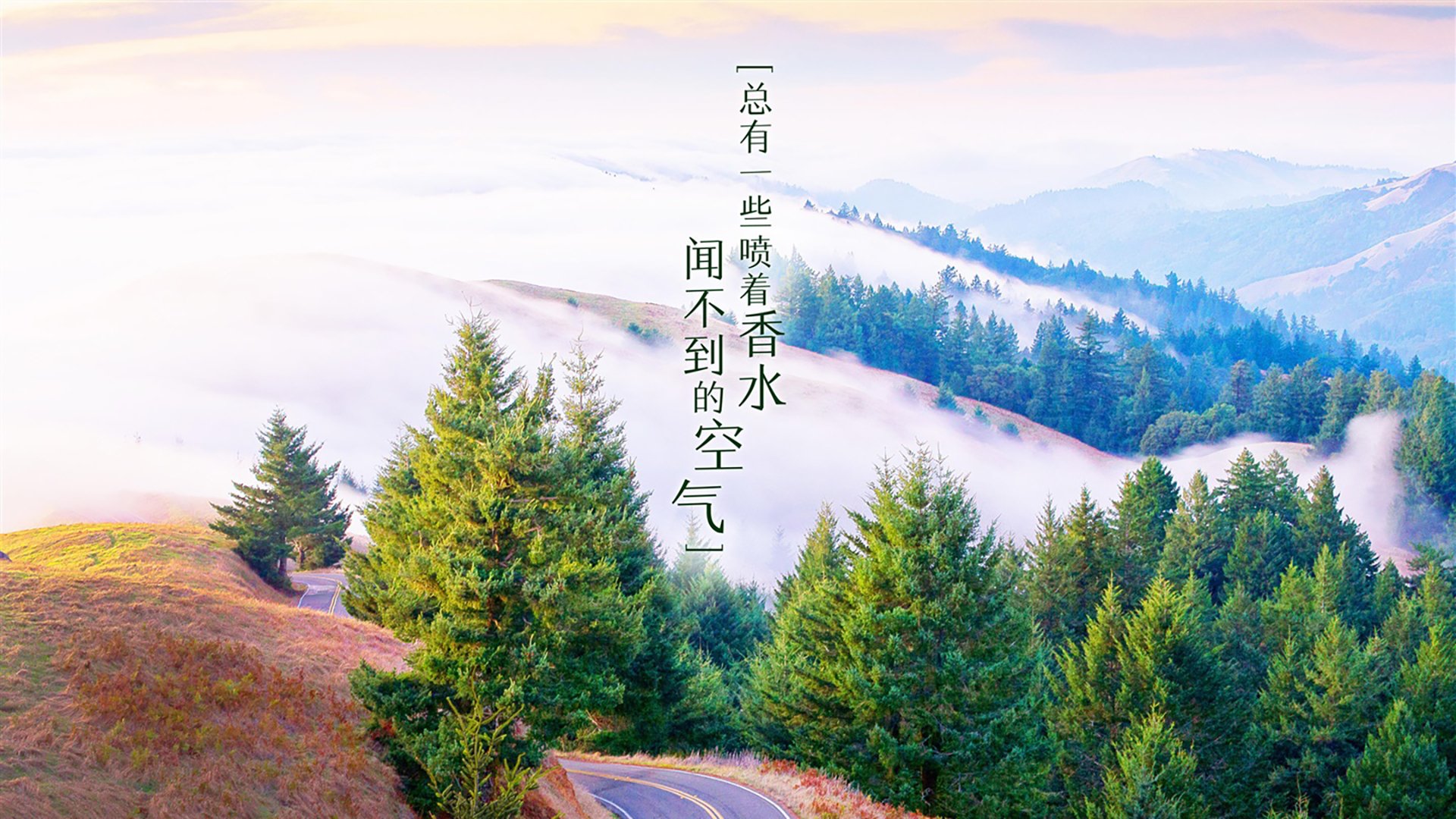 冰与火之歌的唯一乐章，托纳利，那记定义2026世界杯G组的中场脉搏