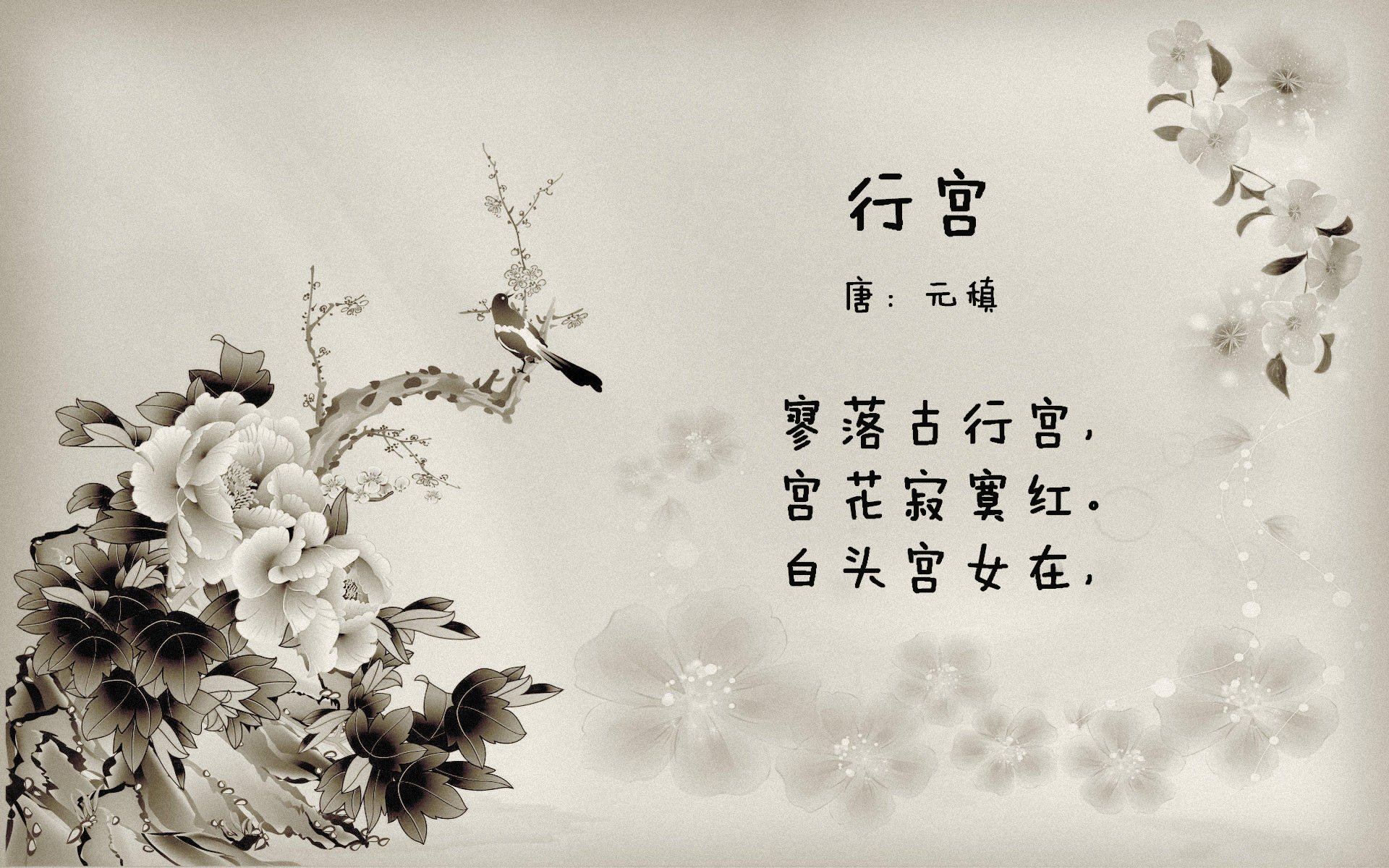 独占头魁,北非之狐点杀南美劲旅—奥斯梅恩封神之夜定鼎C组格局