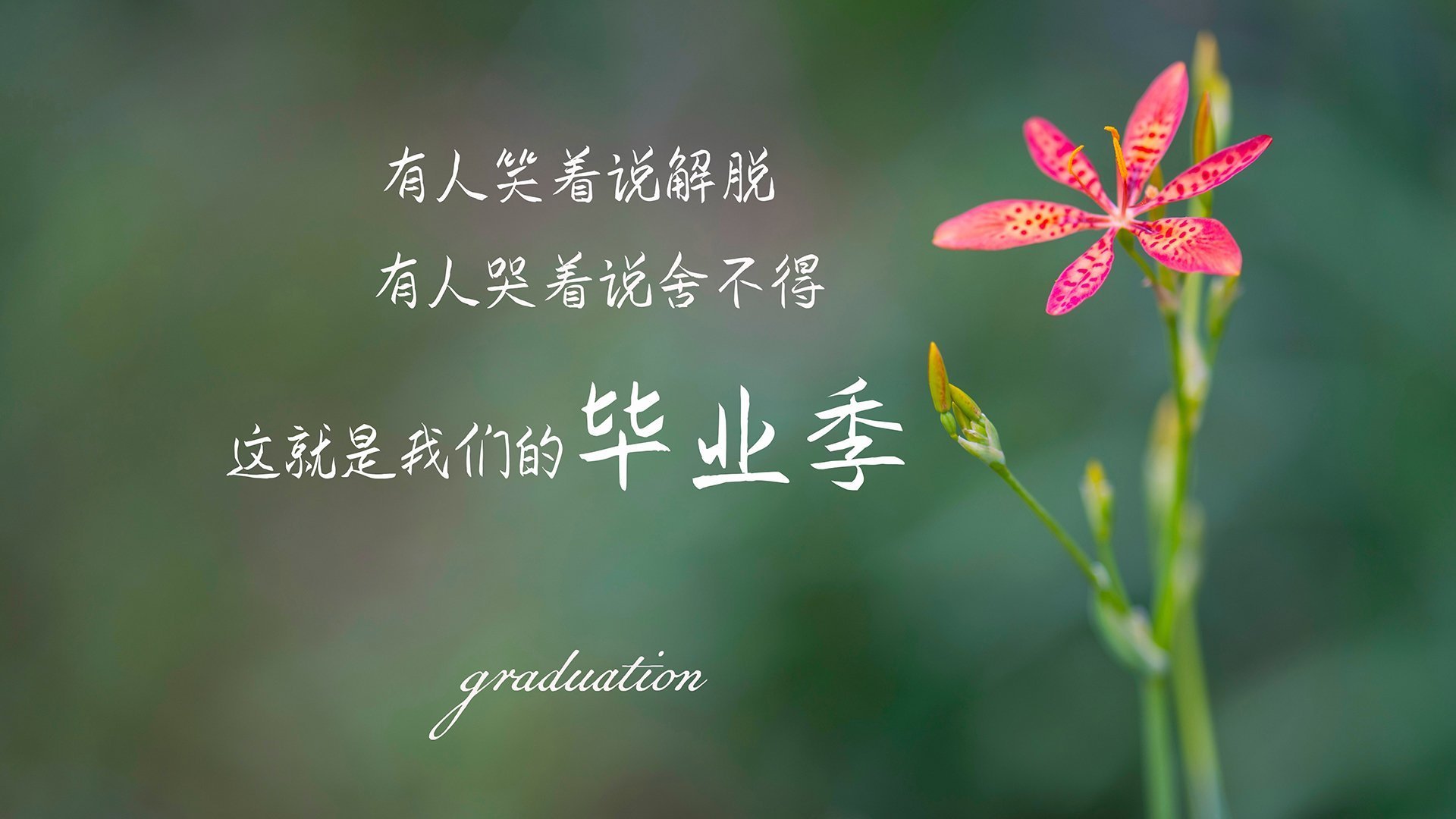 这是一个非常棒的题材。要写出唯一性，我们不能只停留在某场比赛的胜负上，而是要把它上升到宿命对决、个人英雄主义与国家队荣誉交织的层面，甚至要赋予这场比赛一个足以载入史册的、唯一的精神内核
