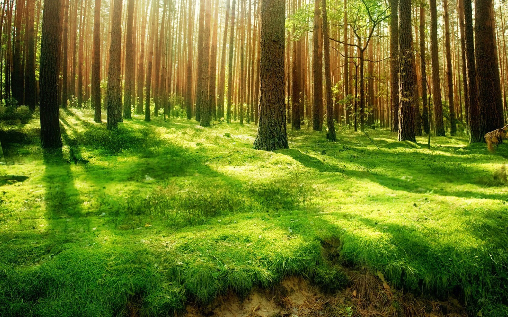 开云体育中国-利马之夜，齐耶赫的魔幻时刻，秘鲁在绝杀中书写唯一剧本